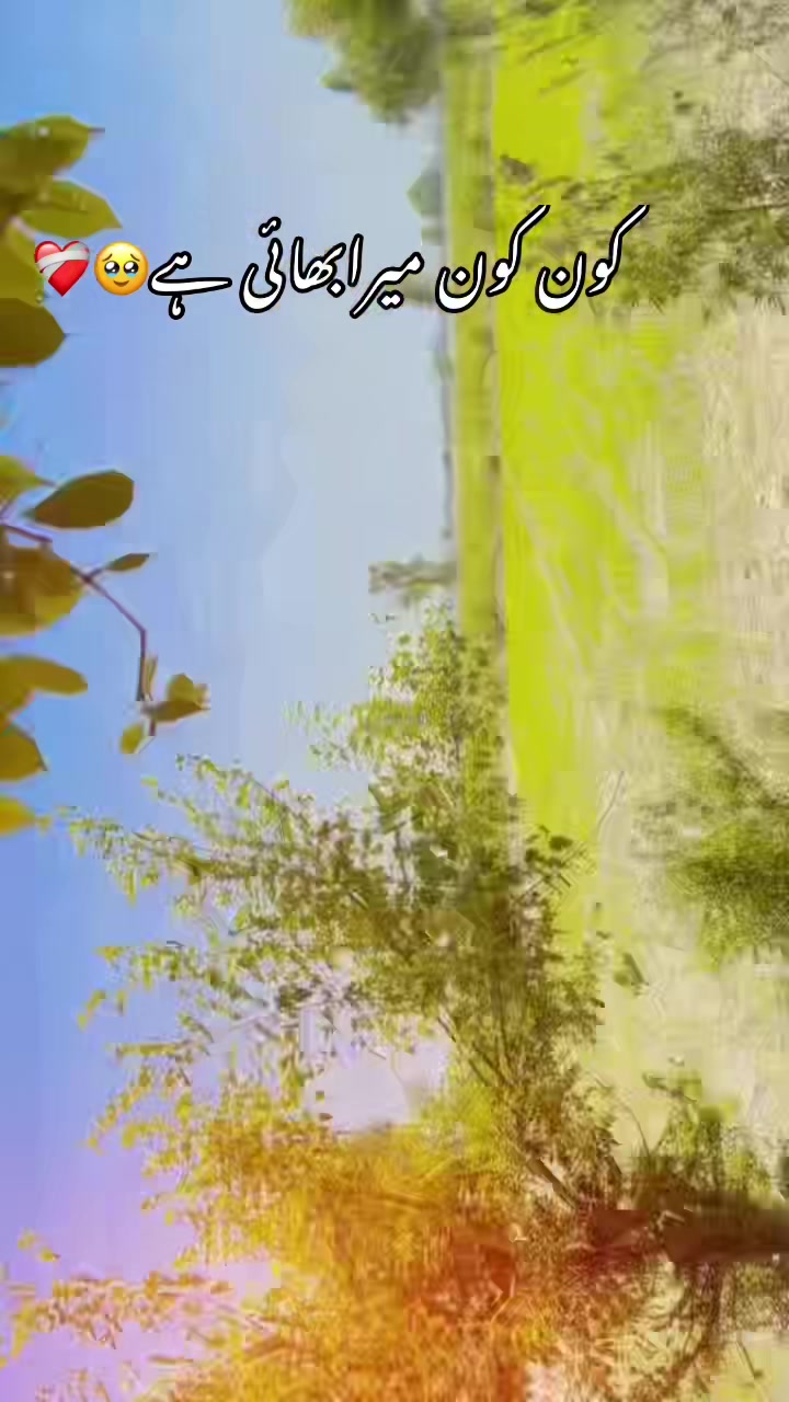 @Mirzasageer1122