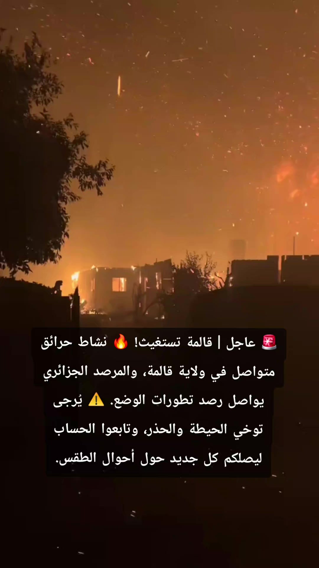 @Walid Seghier
