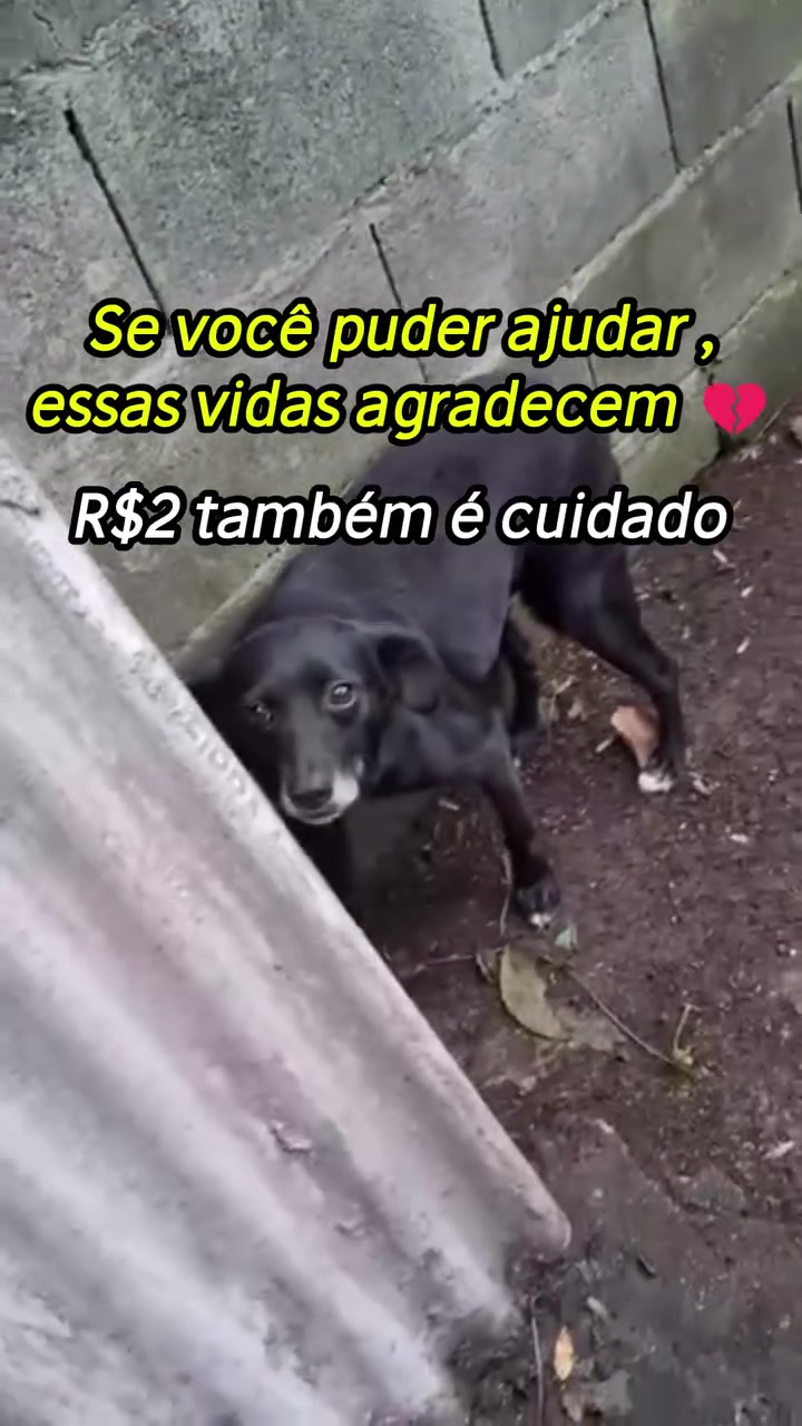 @ABRIGO DA VÓ