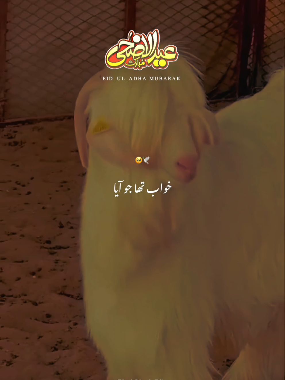 @â¨đđđđđ đđđđŠđ¨â¨
