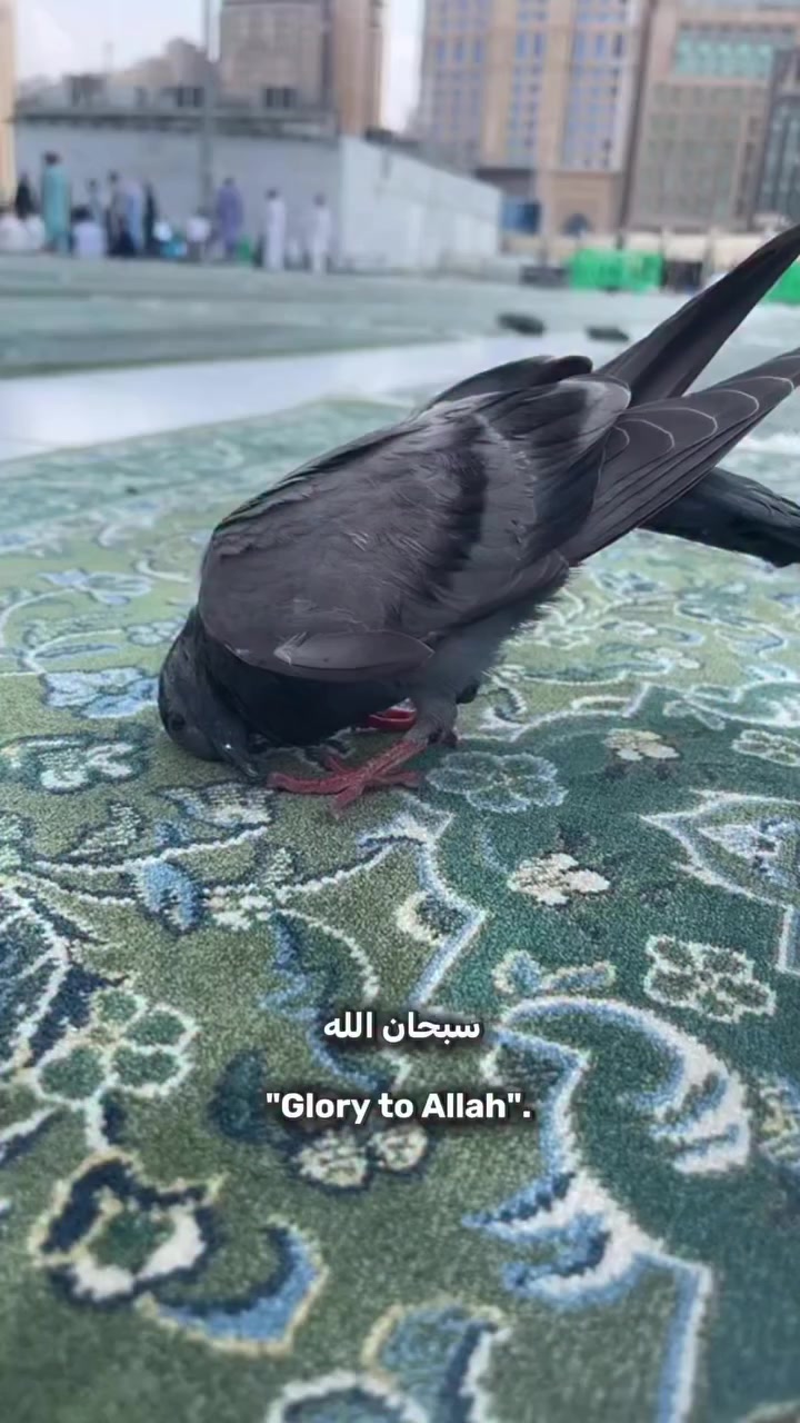 @زمان الصمت 💕