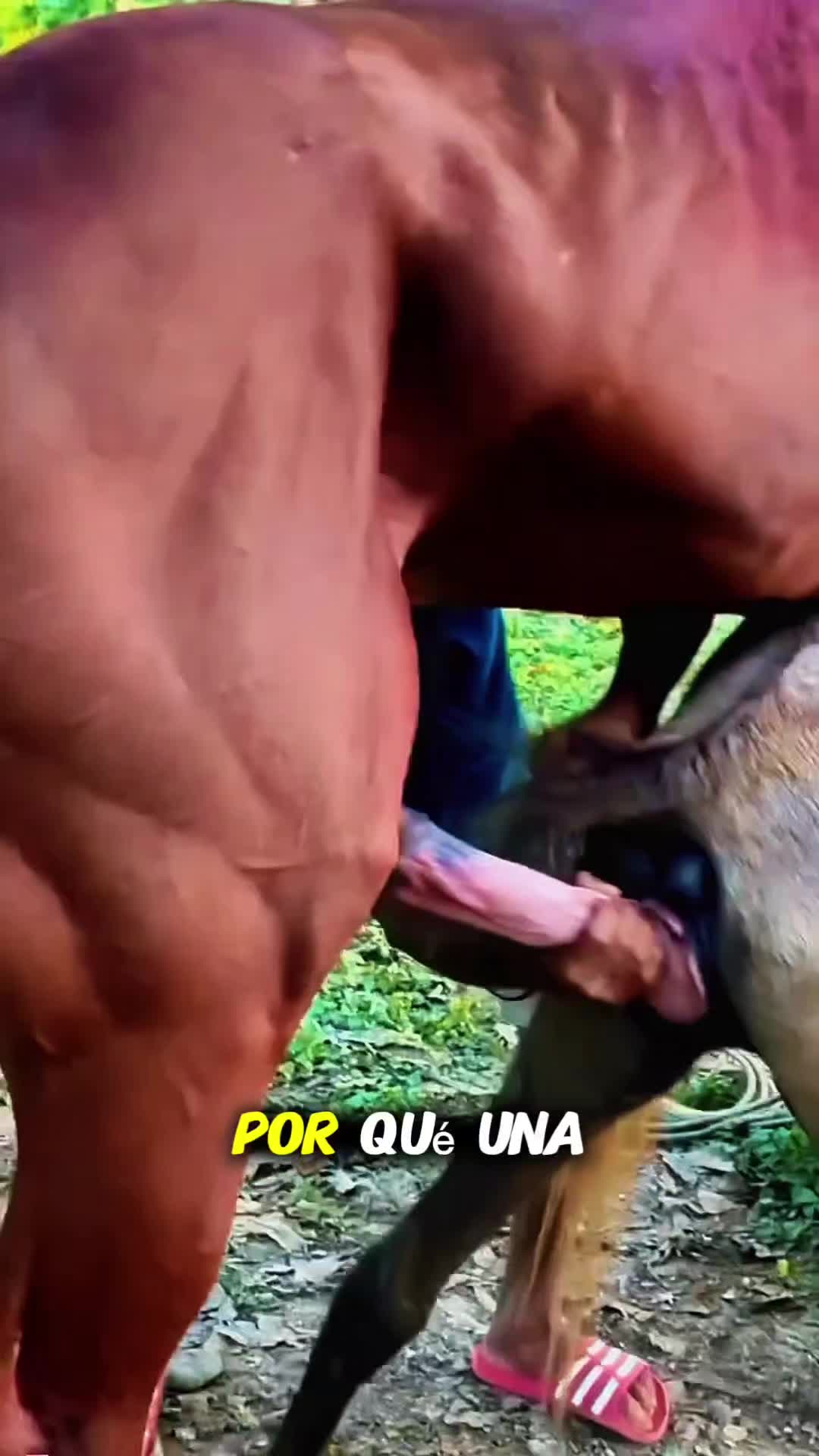 @femniverse 3