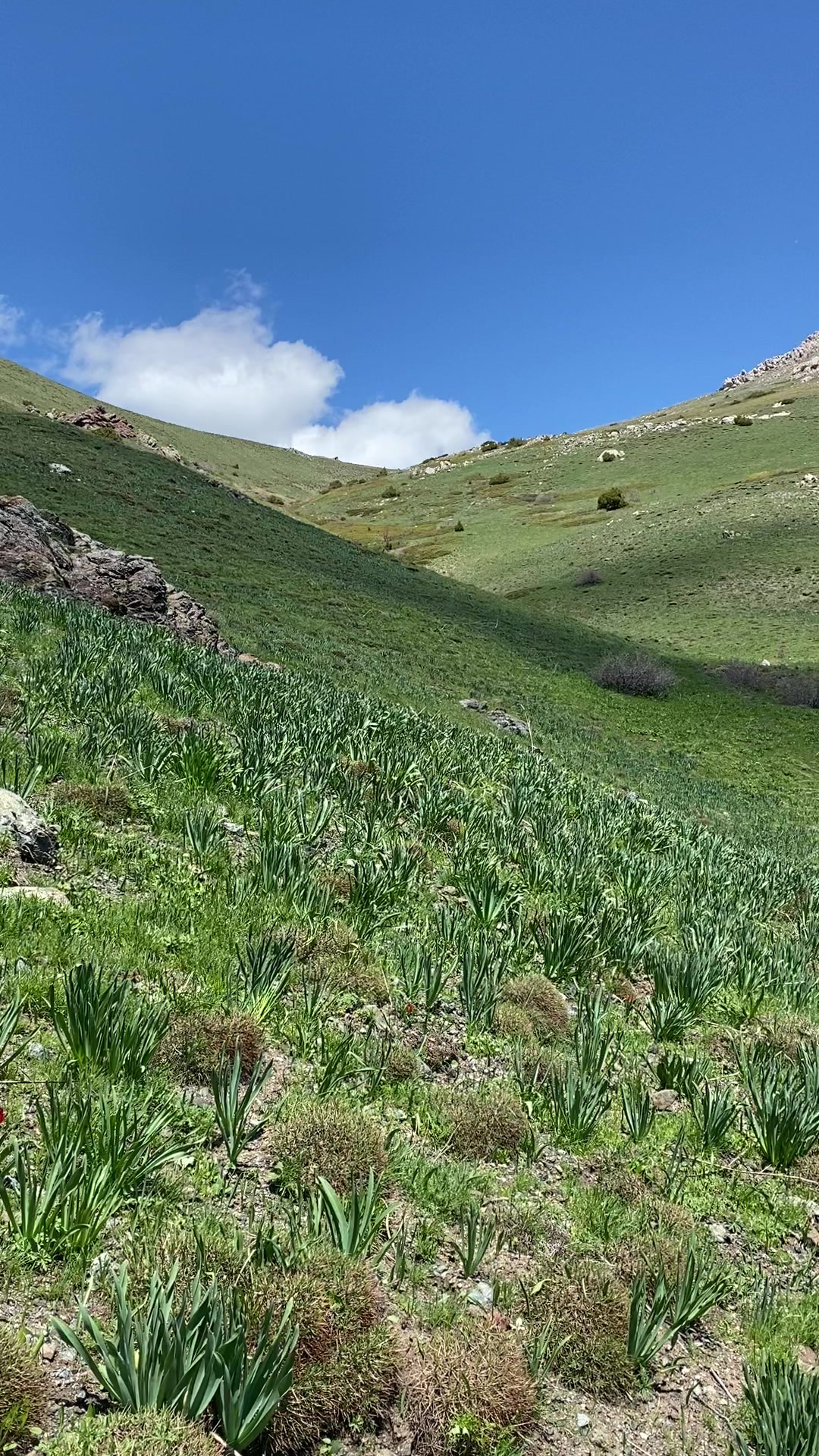 @Cananşkrli24