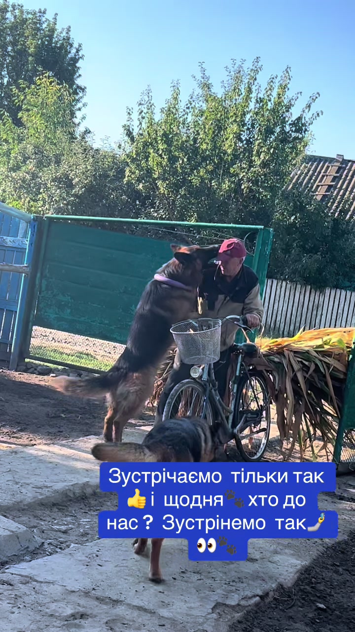 @Наташа Мазур.