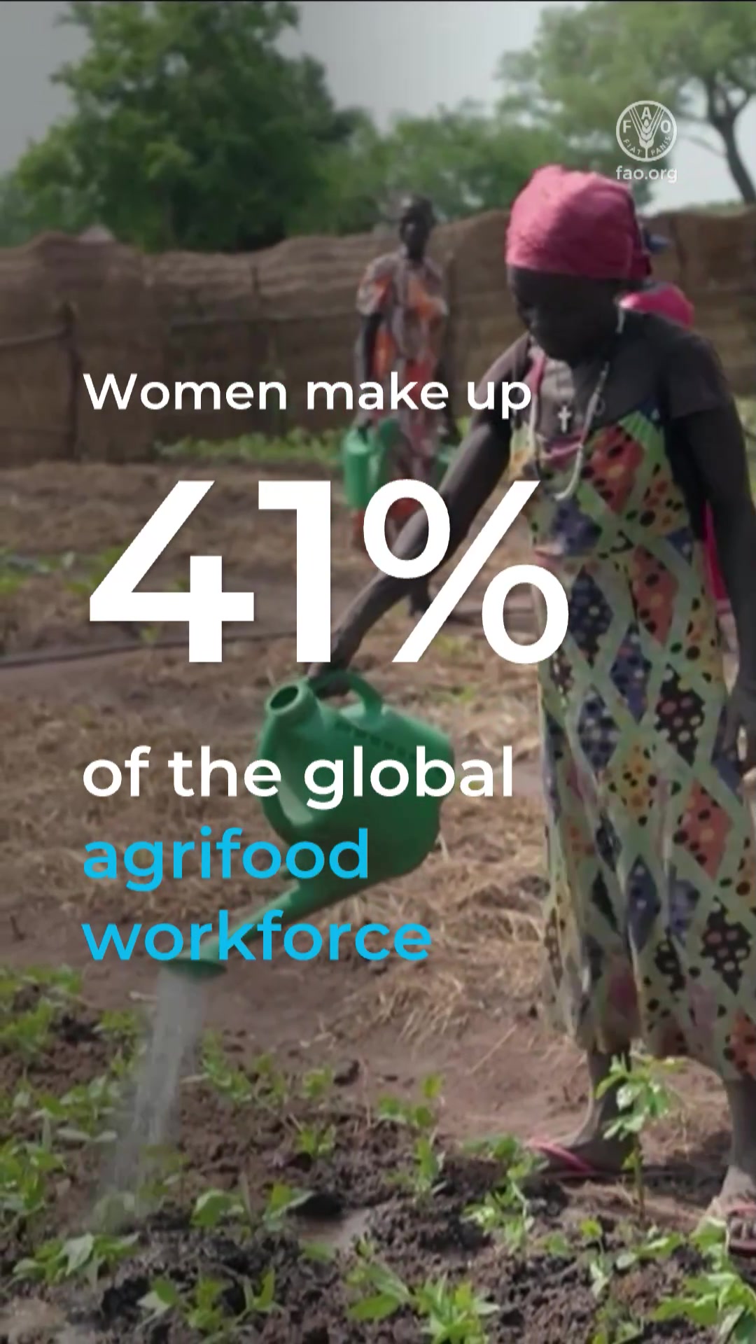 @UN's Food & Ag Org