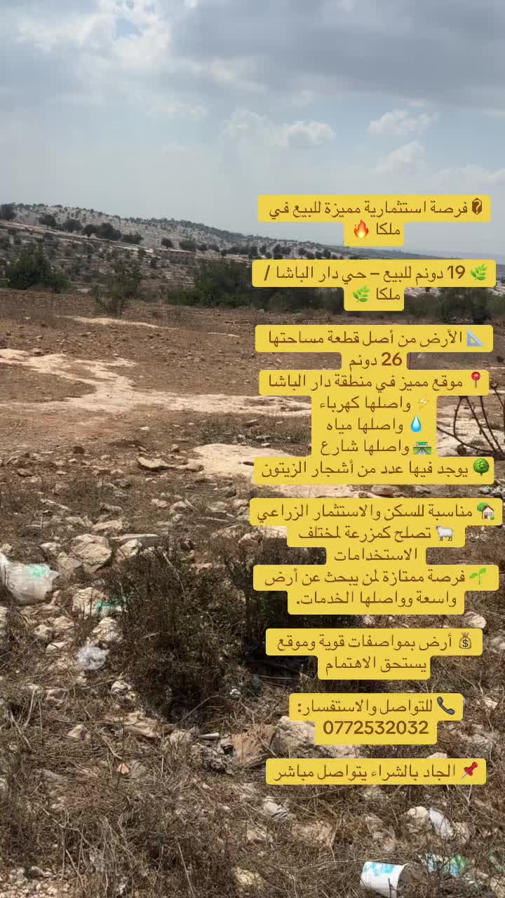 @محمد ملكاوي