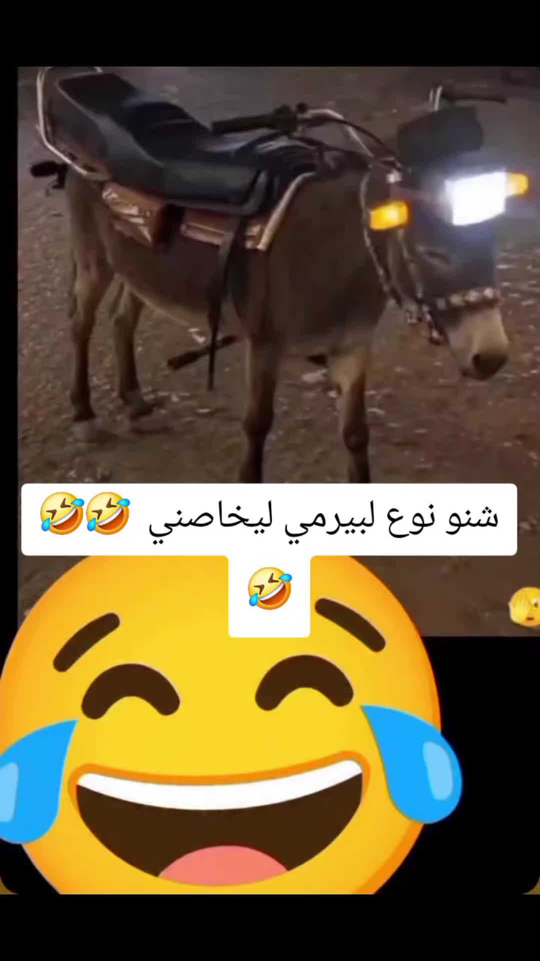 @Aziza@ام حمزة💌
