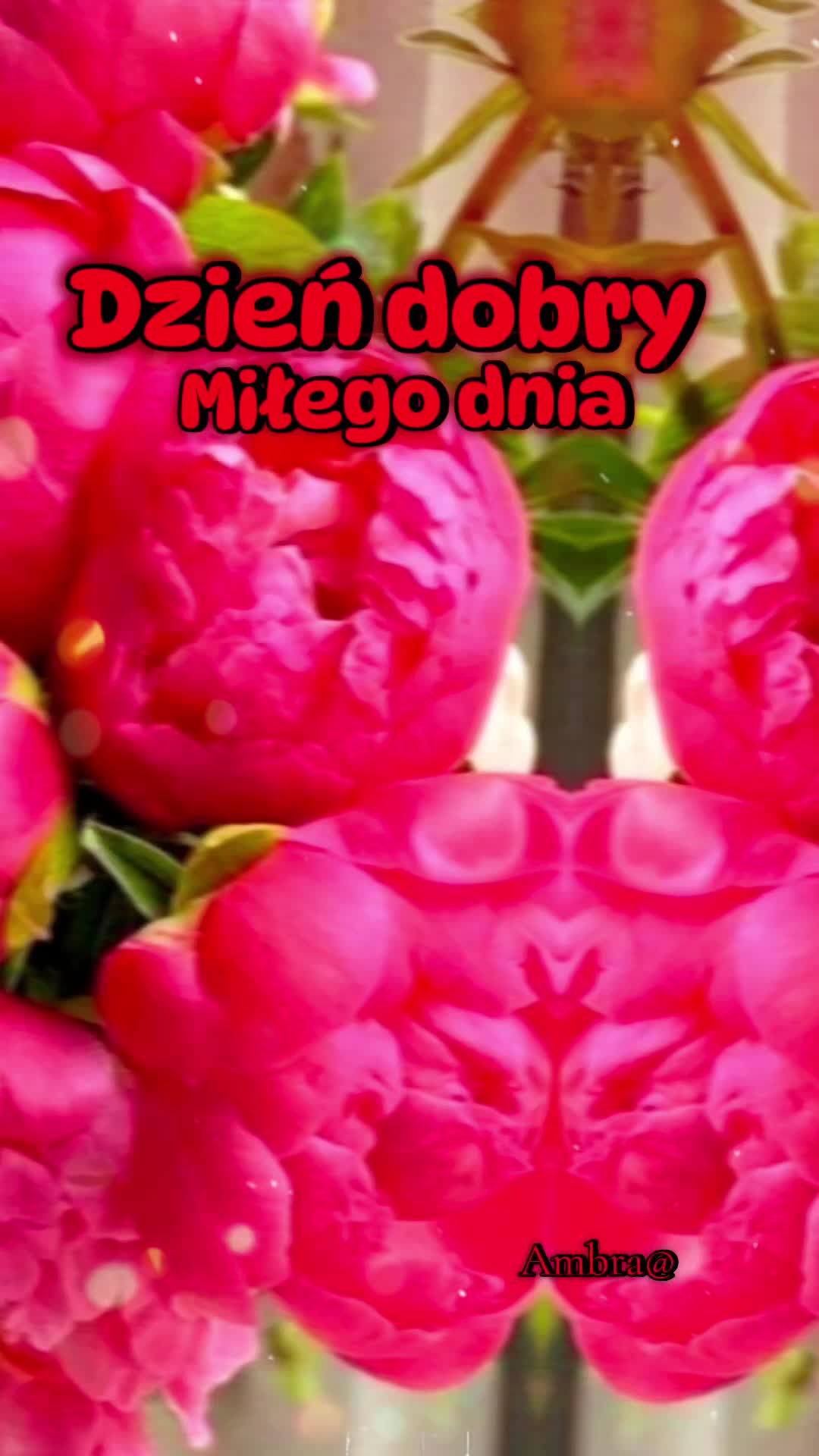 @Ambra@