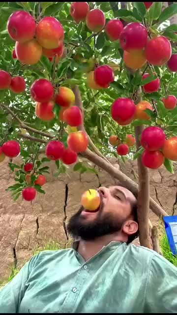 @Team Saifulla