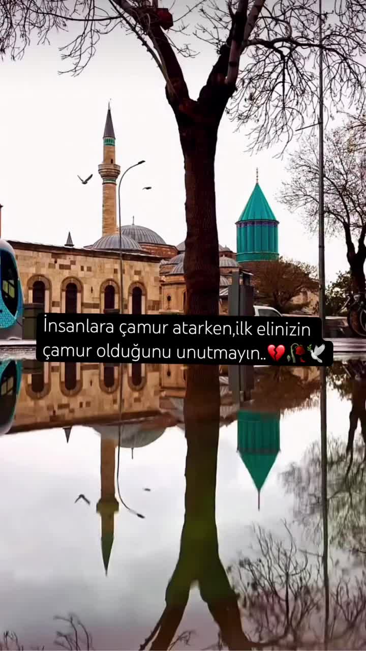 @ruh_tamiri  🍃🌹