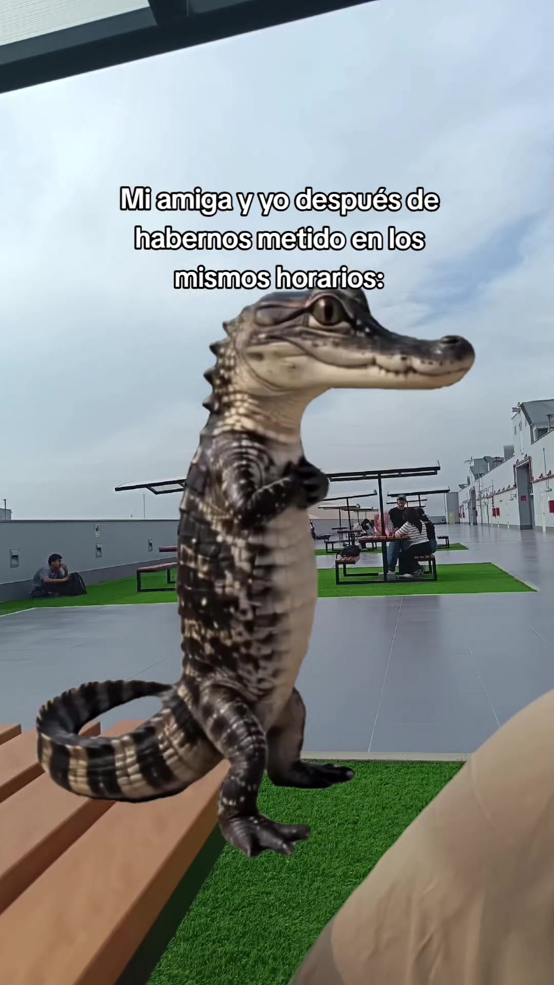 @𝖊.𝖋𝖗𝖆𝖓𝖓𝖐_𝟑𝟎𓆰𓆪
