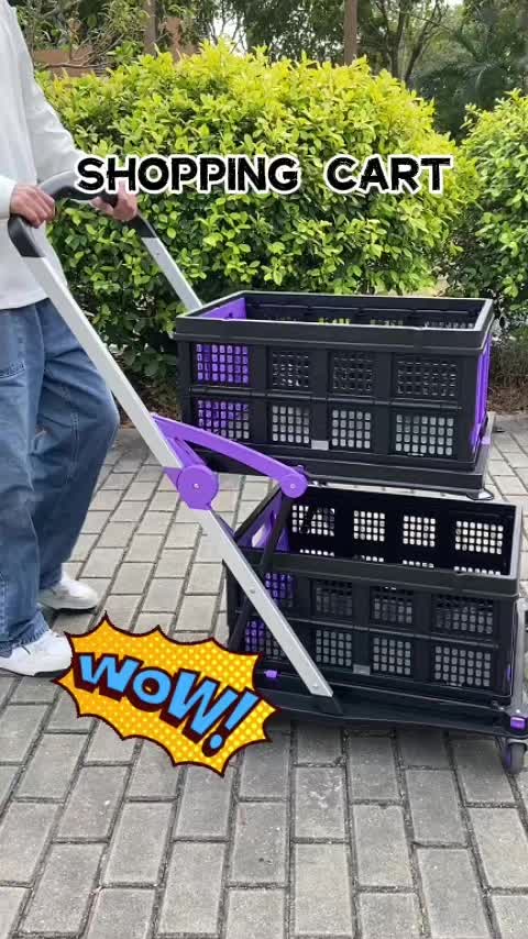 @scitoo