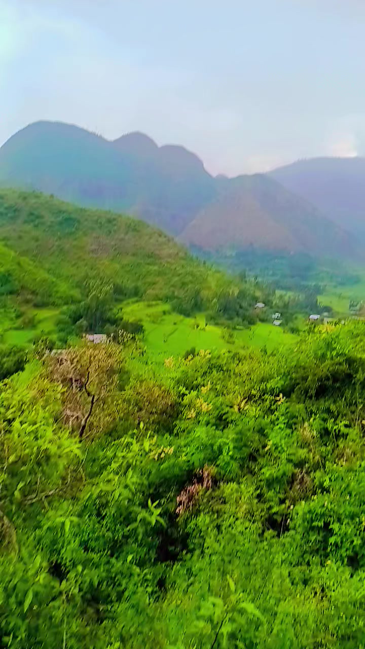 @muktar