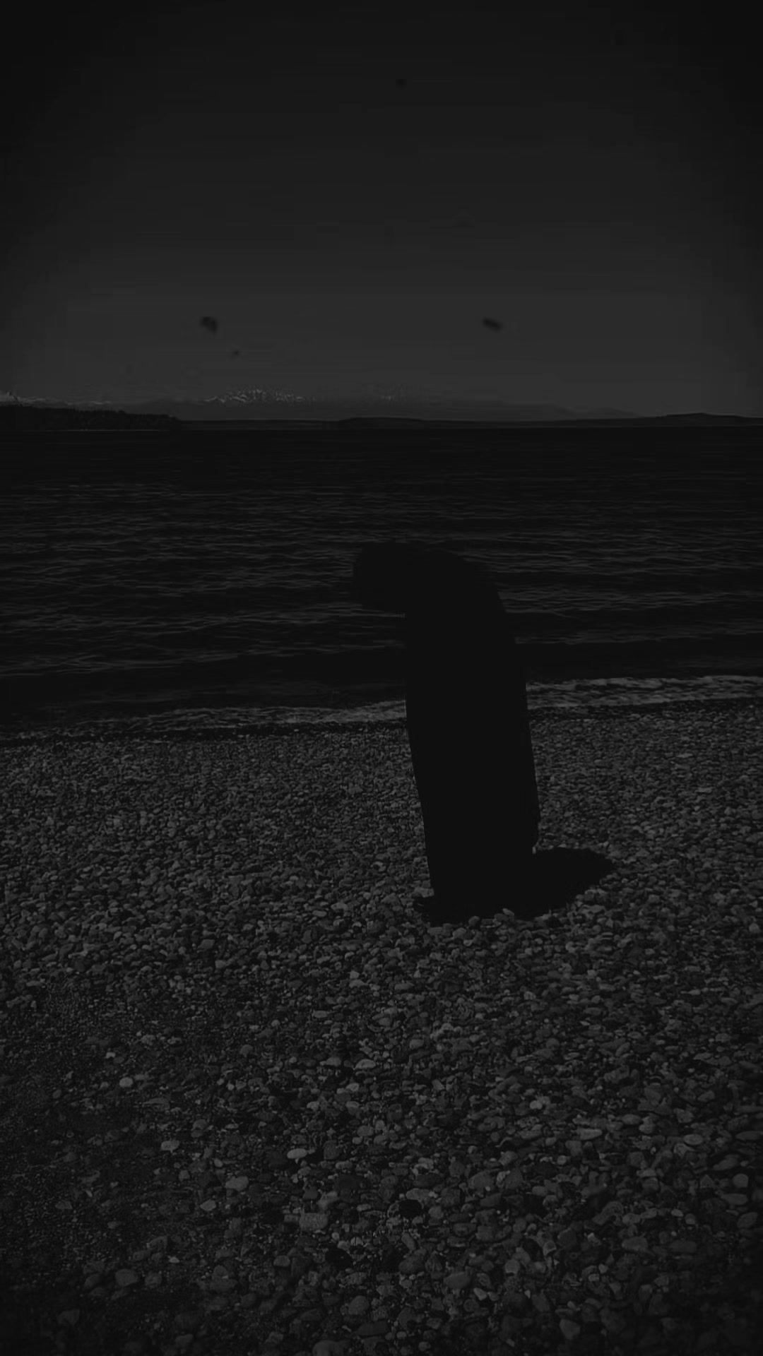 @DarkWonderland