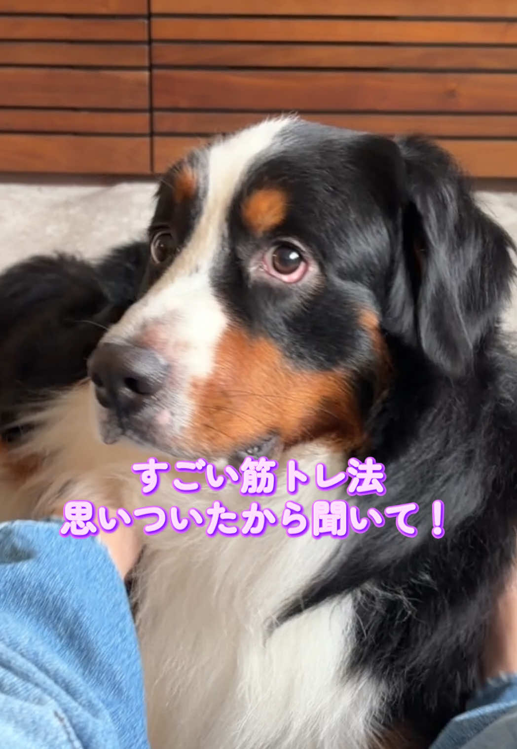 @å¯å£«å±±ð¶ð»ããŒããŒãºããŠã³ãã³ããã° - Fujisan
