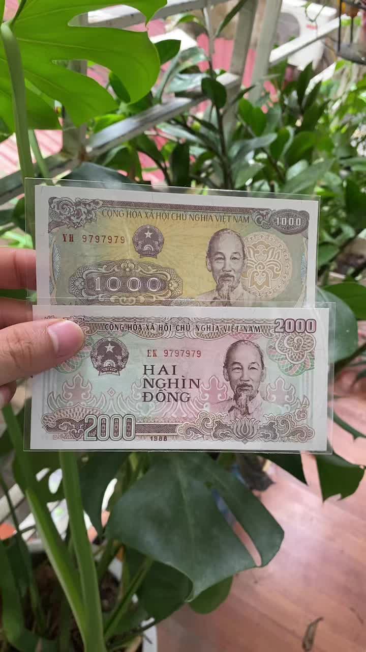 @Shop Tiền Sưu Tập