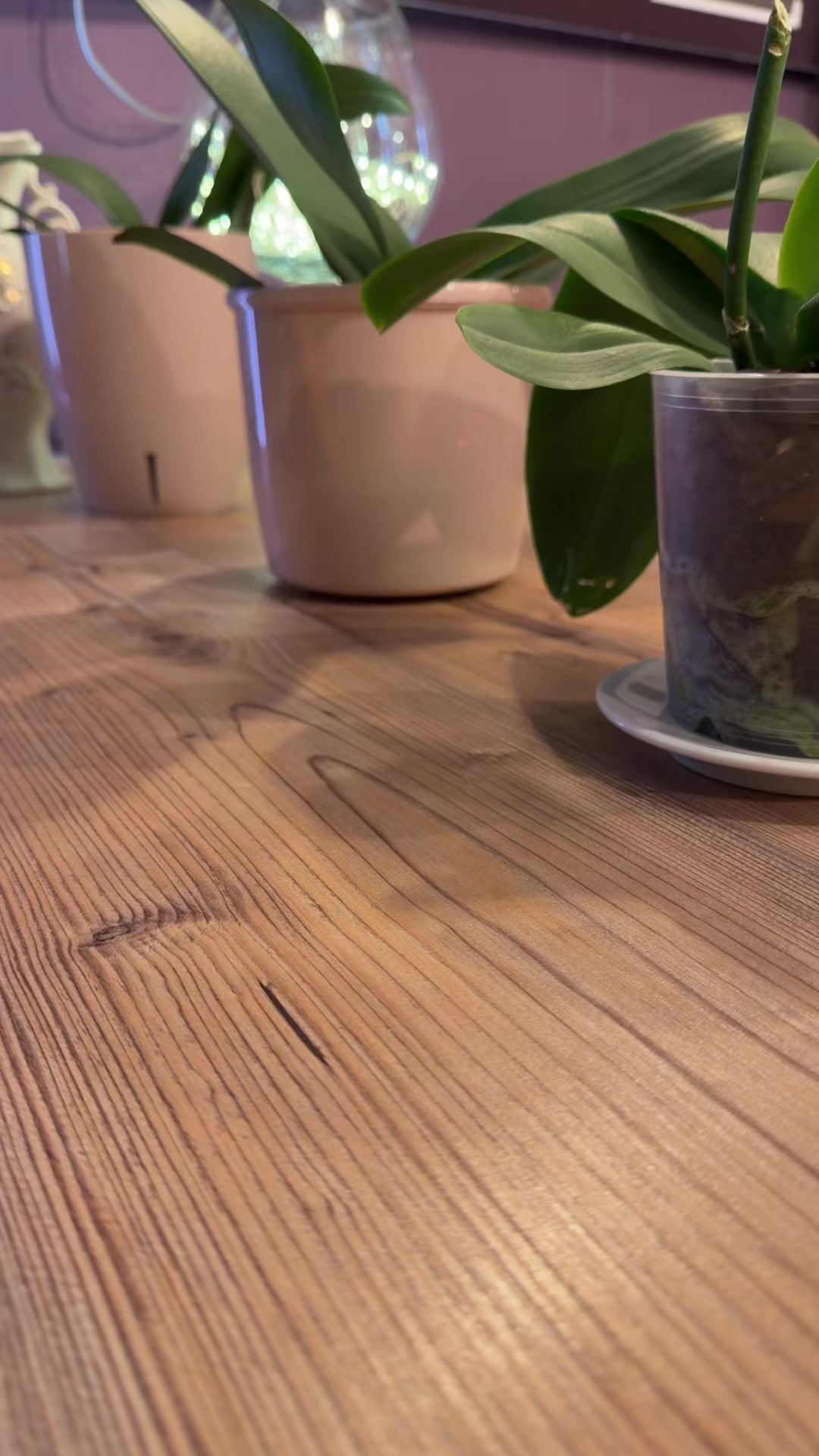 @Tik Tok Coffee Nisporeni