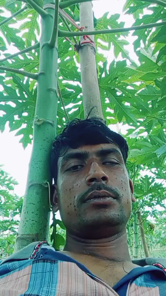 @mdshiponmia489