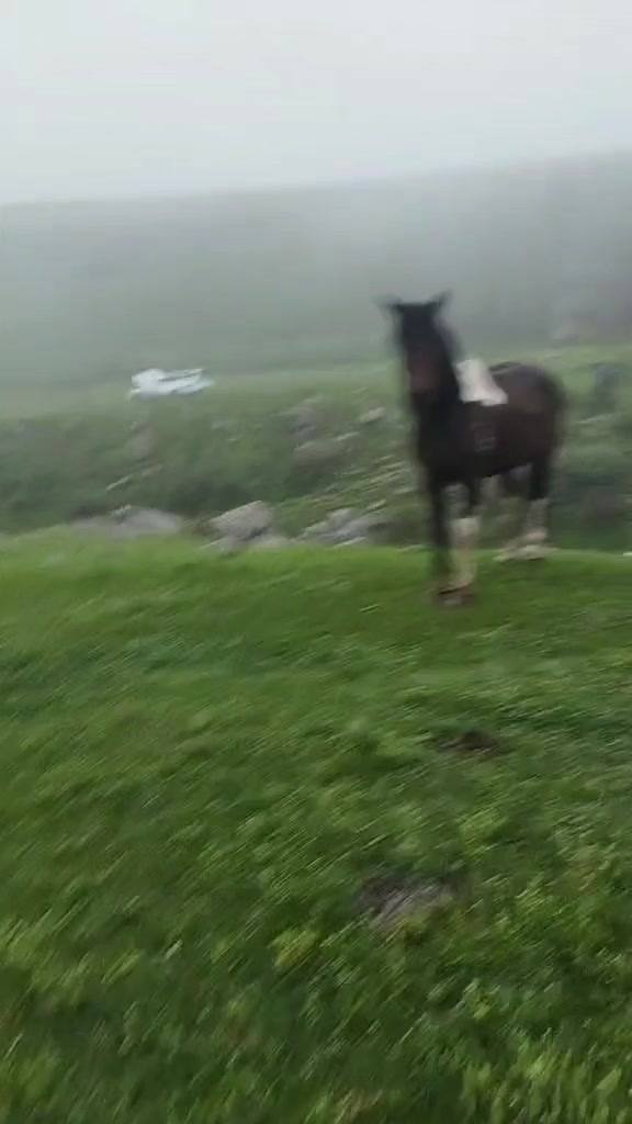@Okeana_777