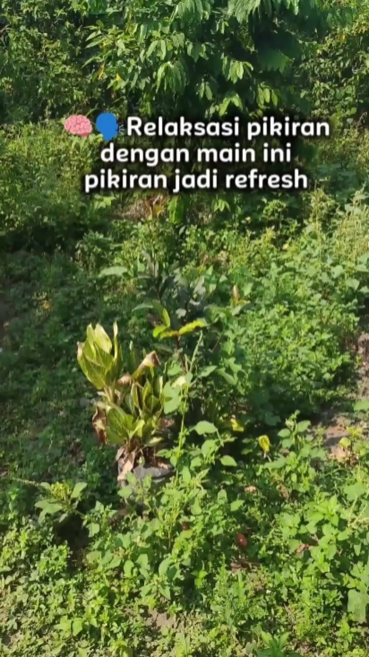 @Miftaku