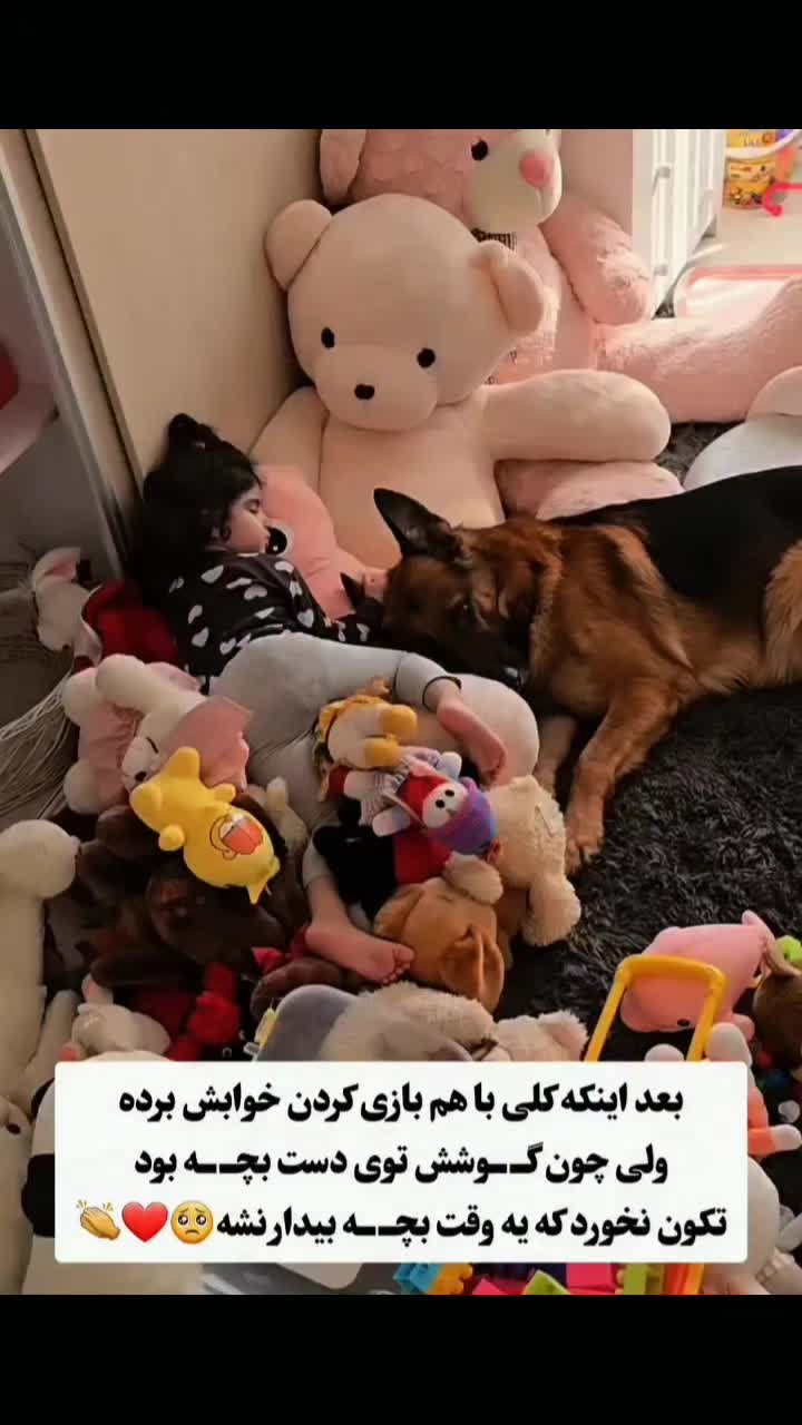 @persian_music