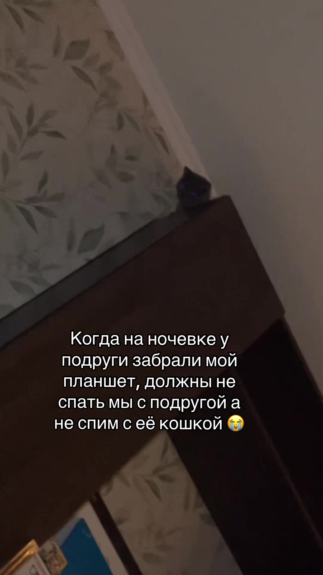 @gopnik67