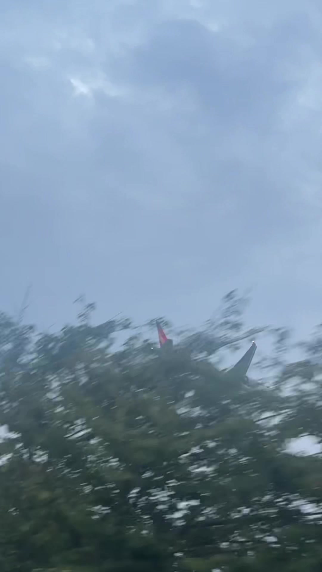 @shaista in korea