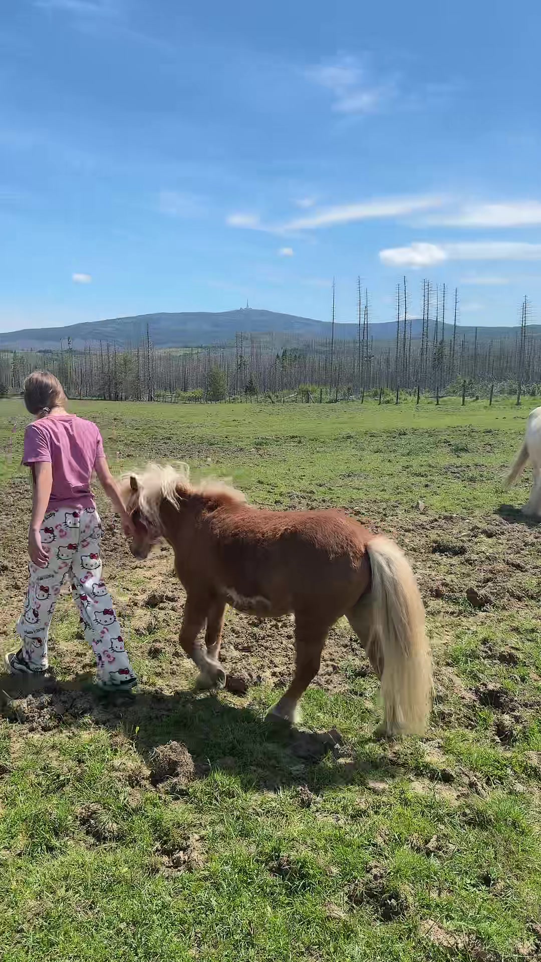 @HafiHorse2