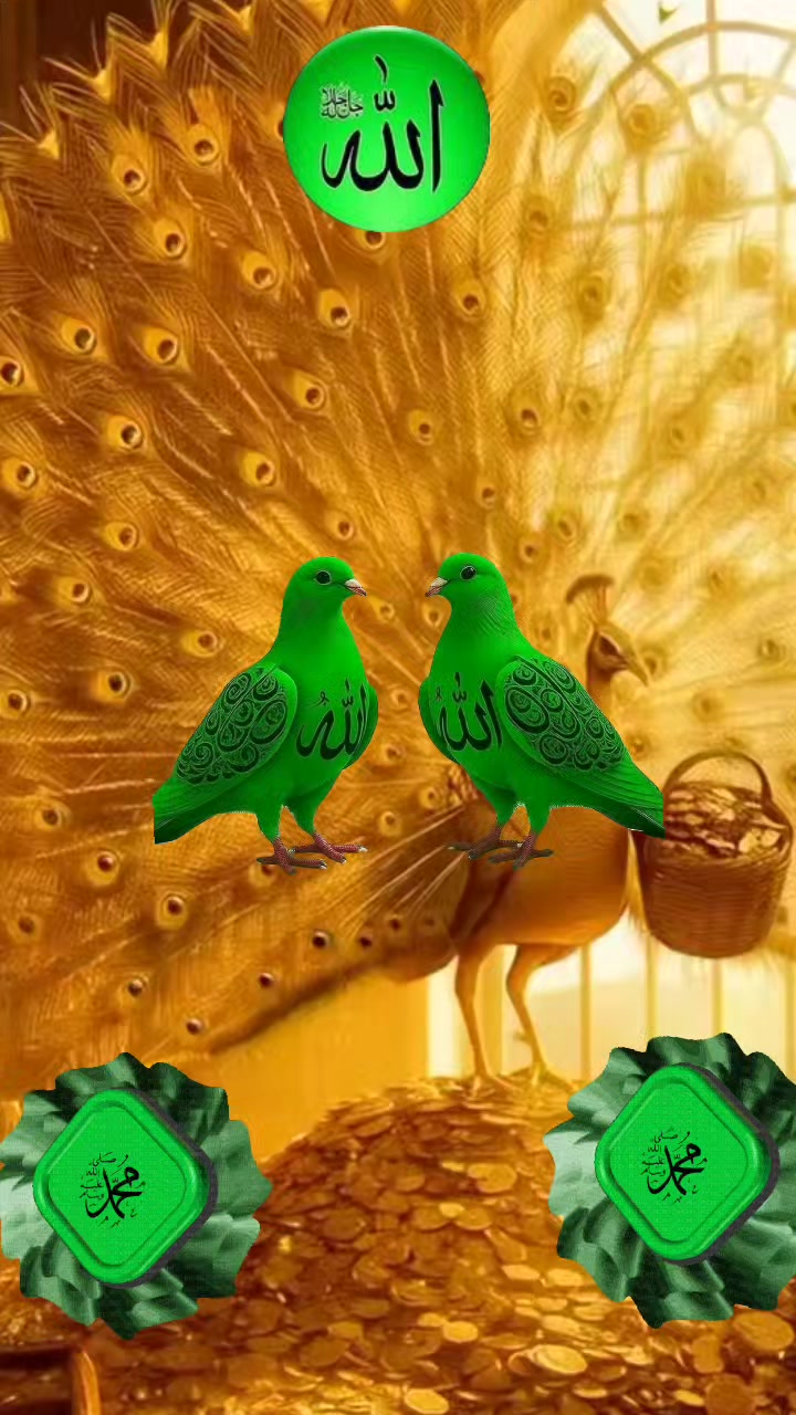 @💚NAKŞİ💜AİLESİ💚EBAG&Uuml;L❤️