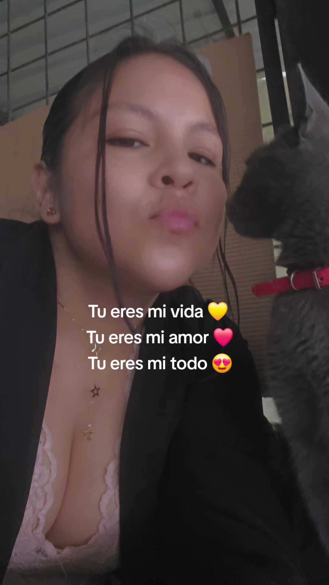 @Michu🐱🐶