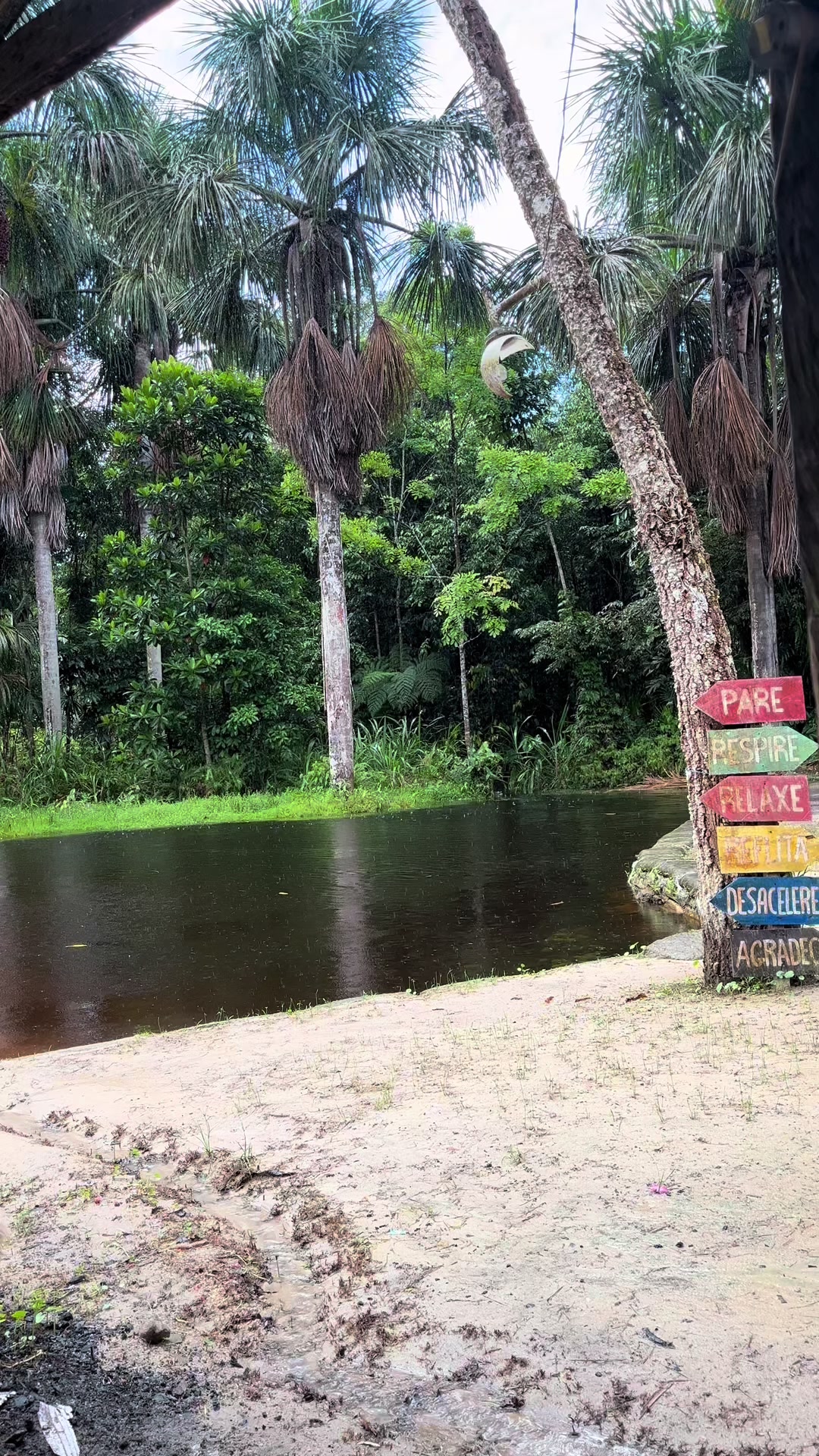 @Amazonas_Historia