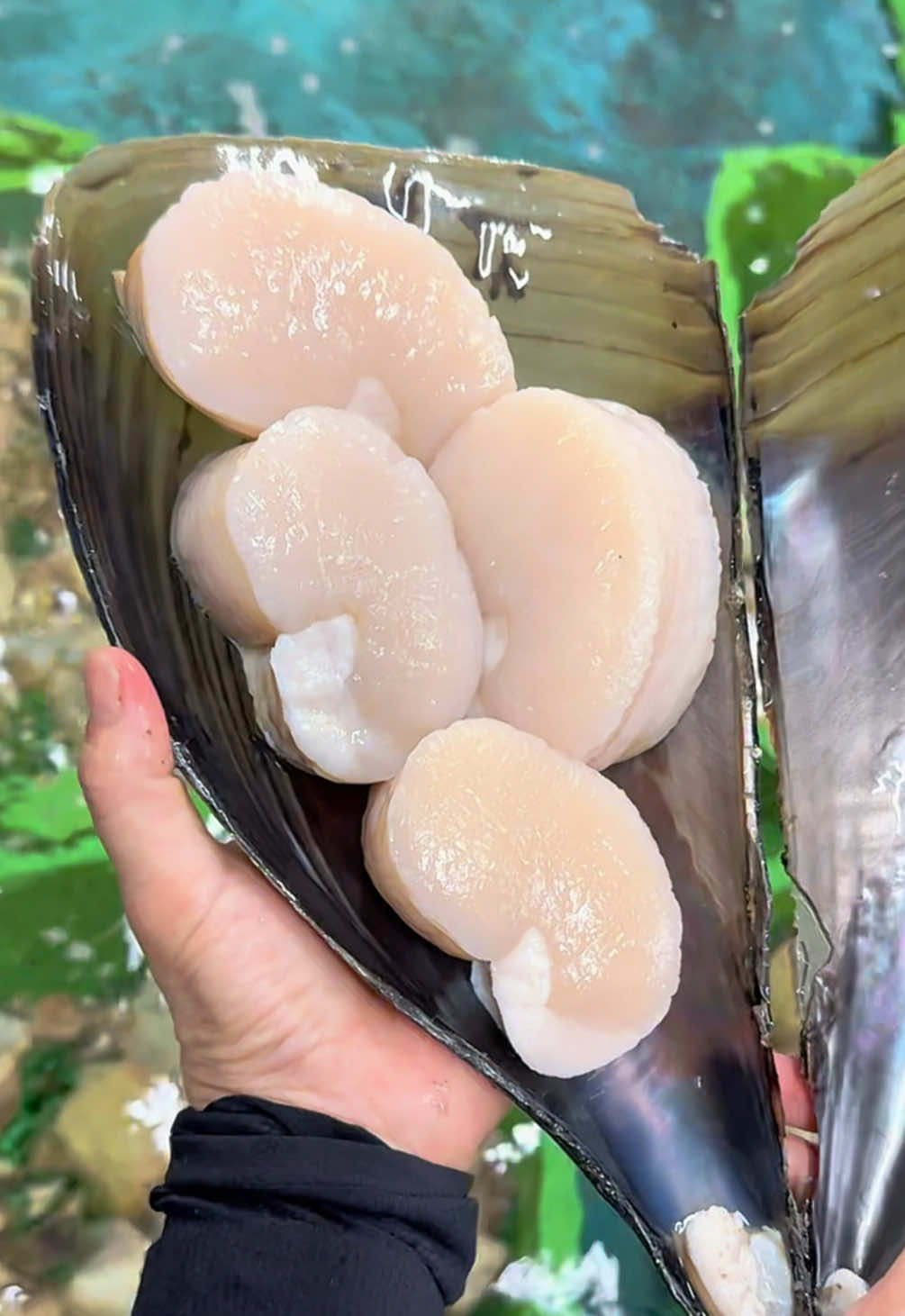 @ふもっち!!! 名古屋グルメ&日本全国グルメ
