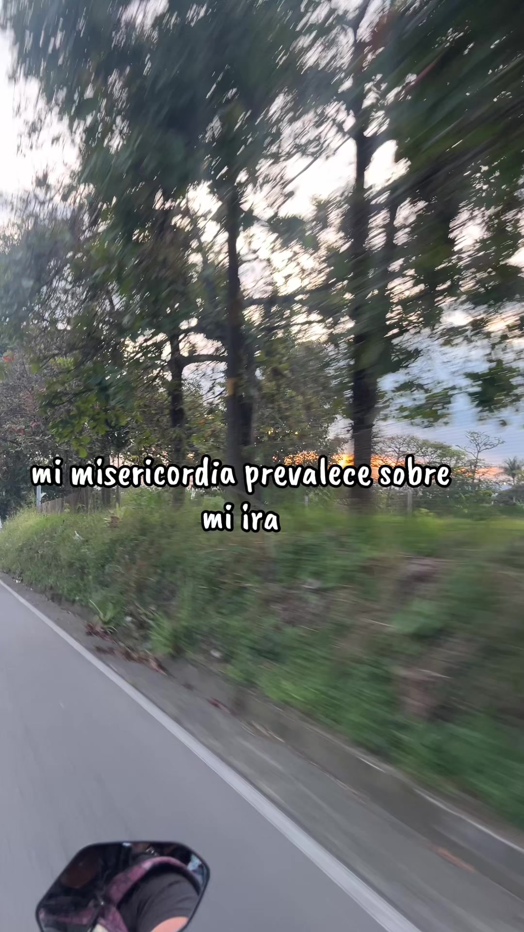 @Juliana Montenegro