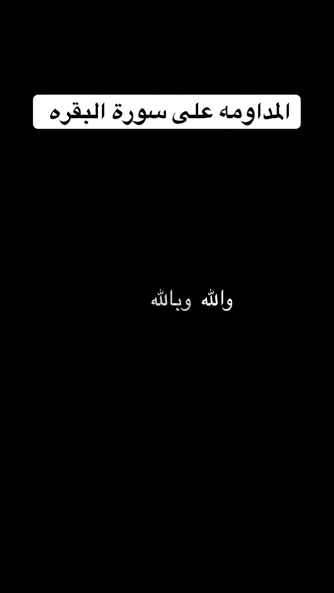 @لافندر🍁