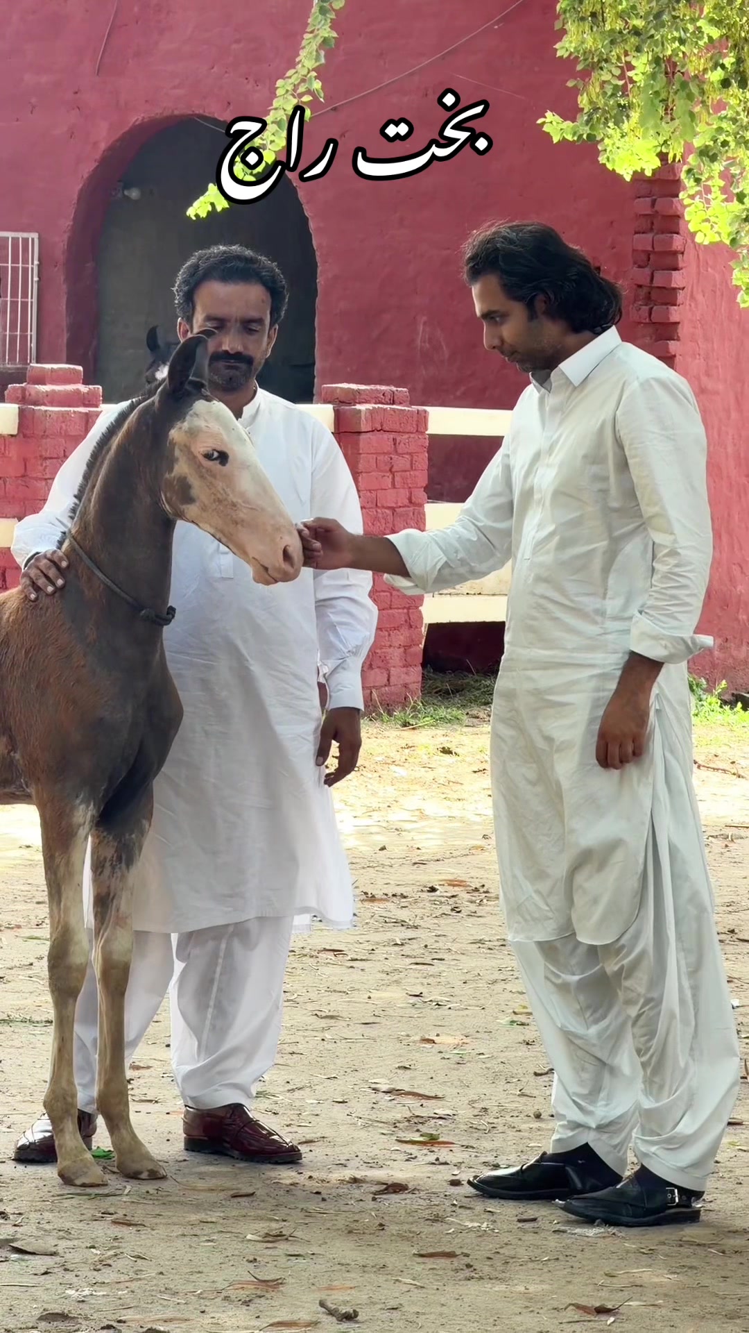 @RAJ BAKHTIAR GONDAL