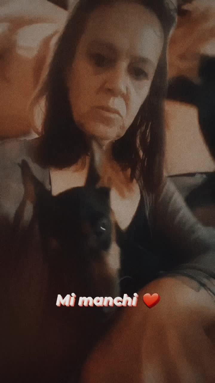 @giulianamelis665