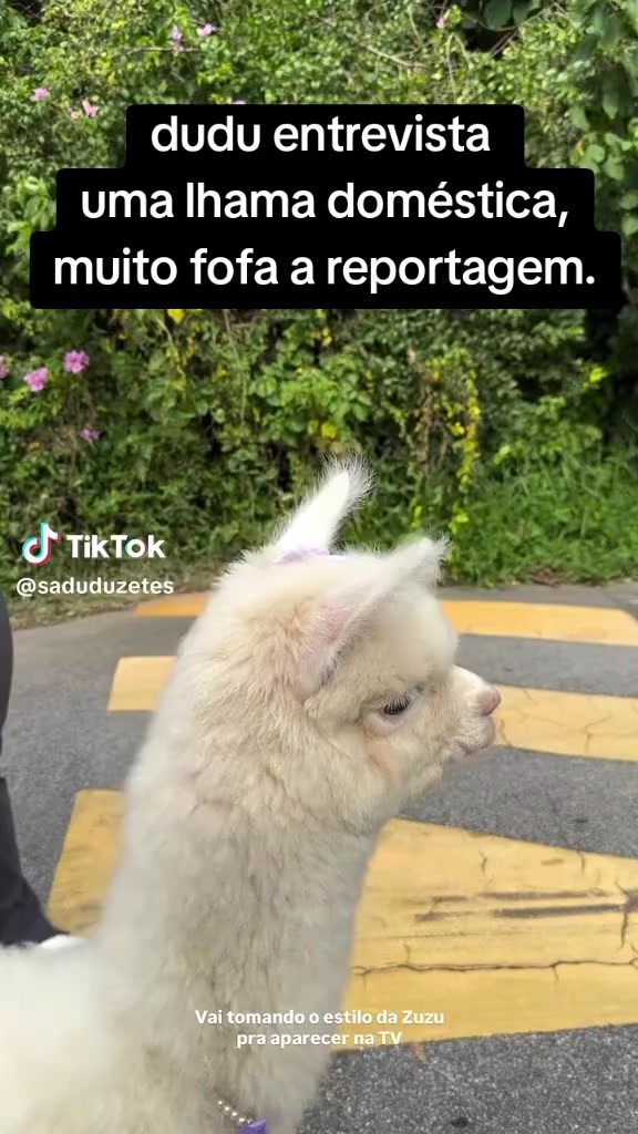 @RMD