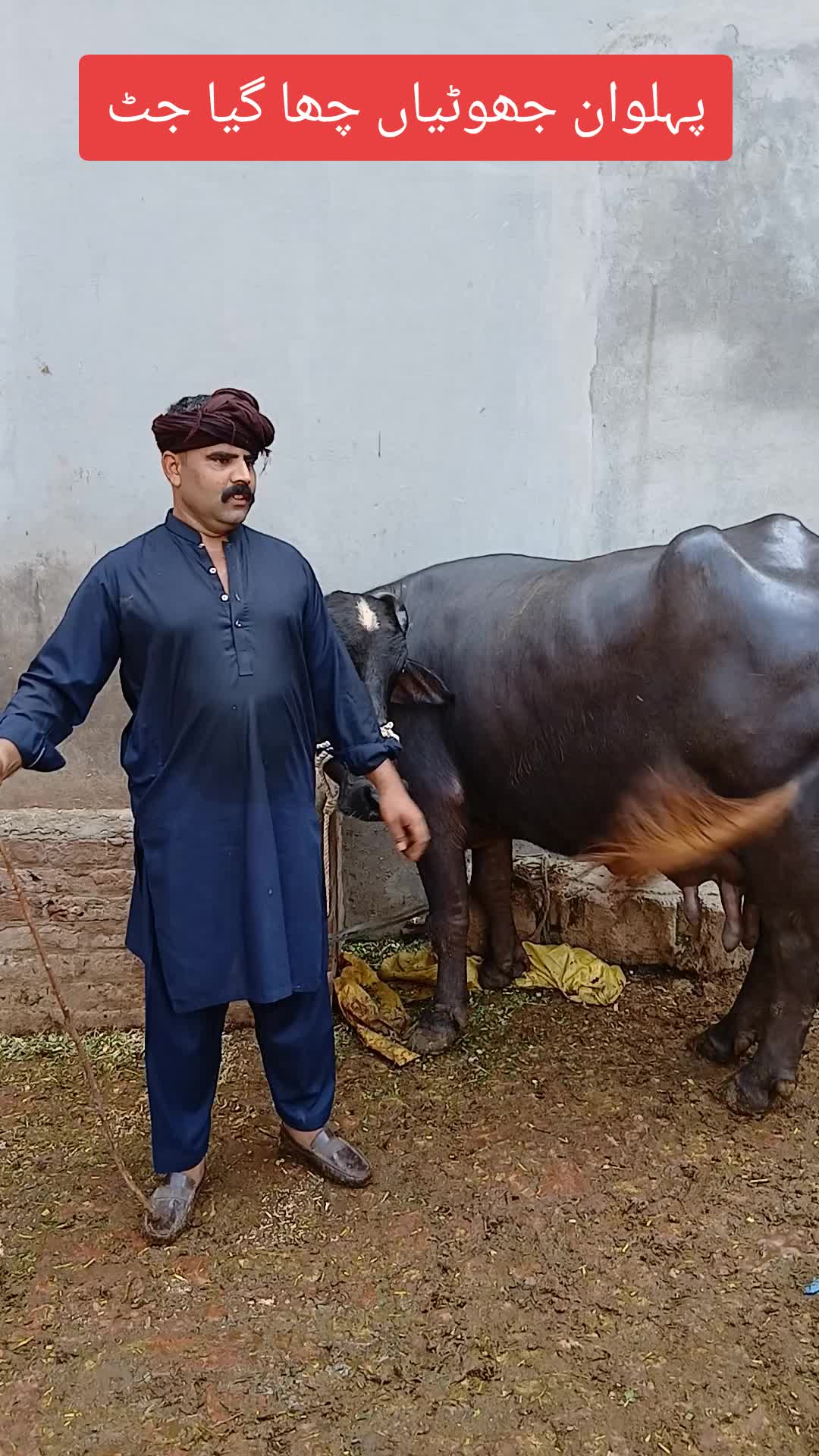 @Farming and Business Ideas