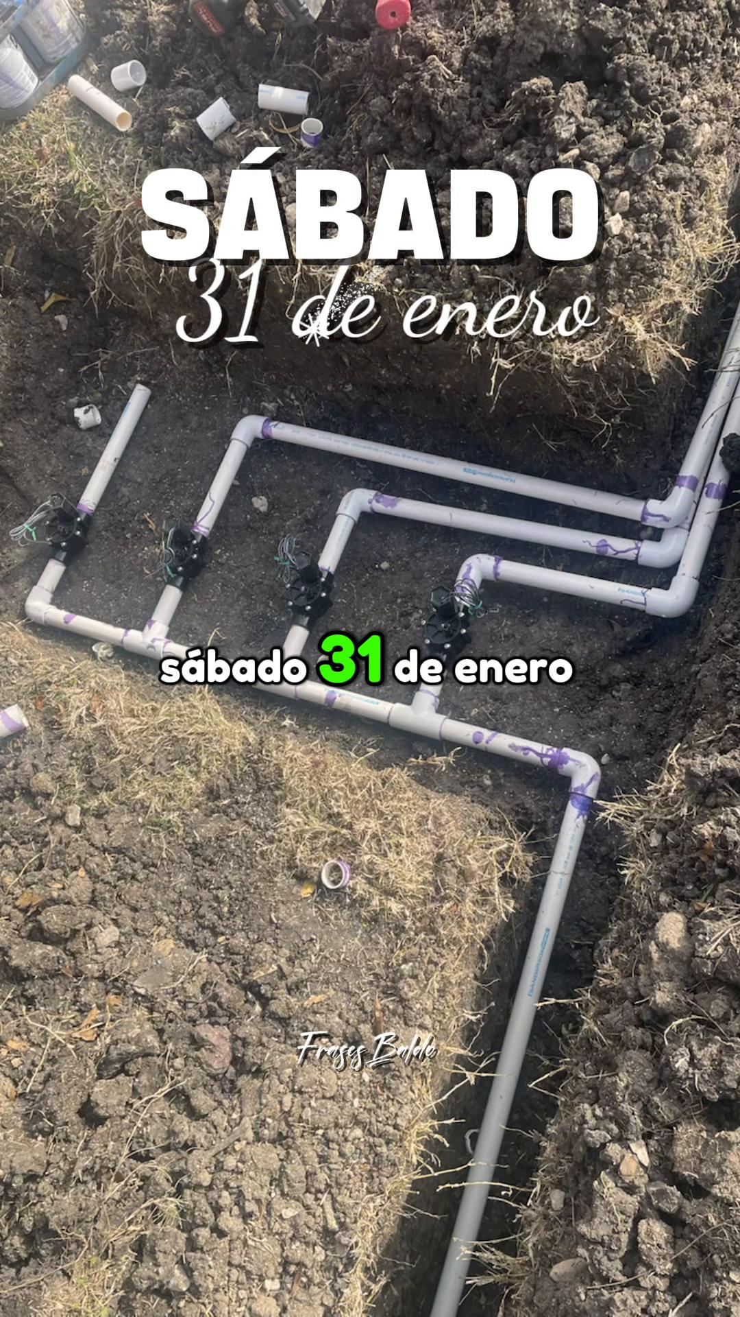 @🐋🦒silvestre5021🐋🦒