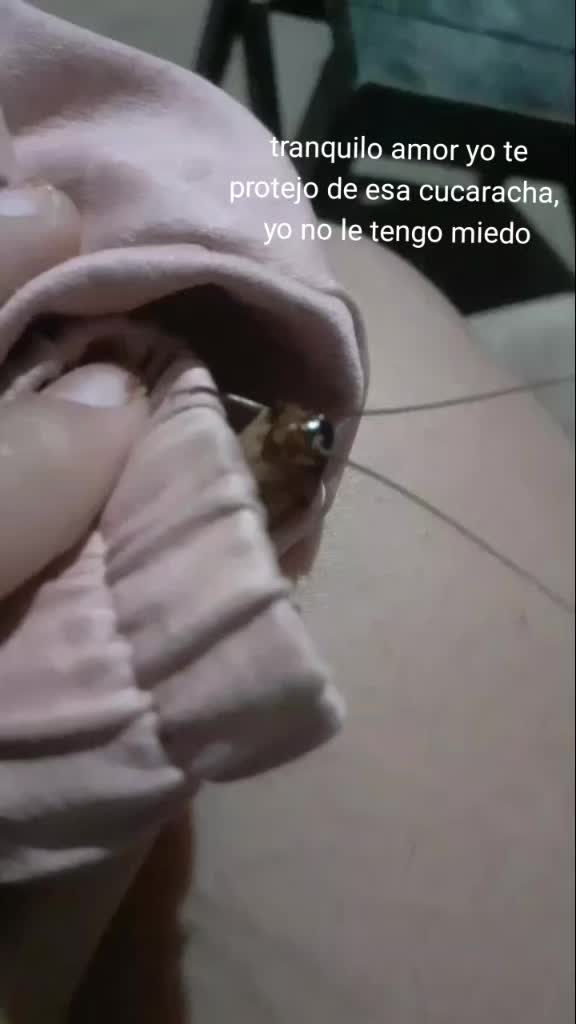 @Pastel_7403