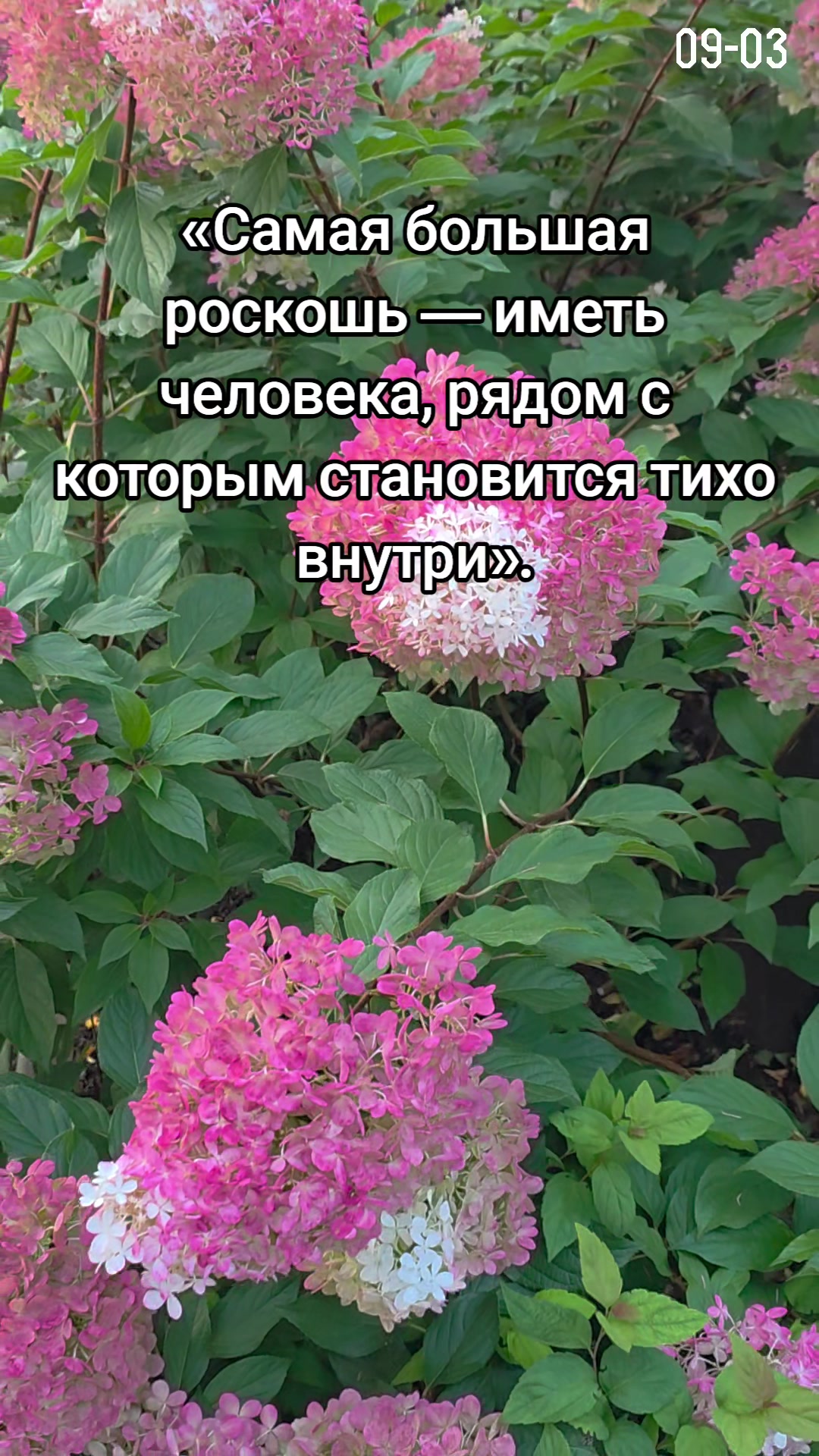 @Яркое Лето