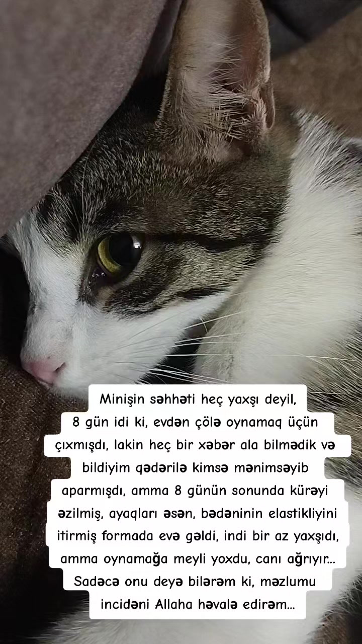 @miniş
