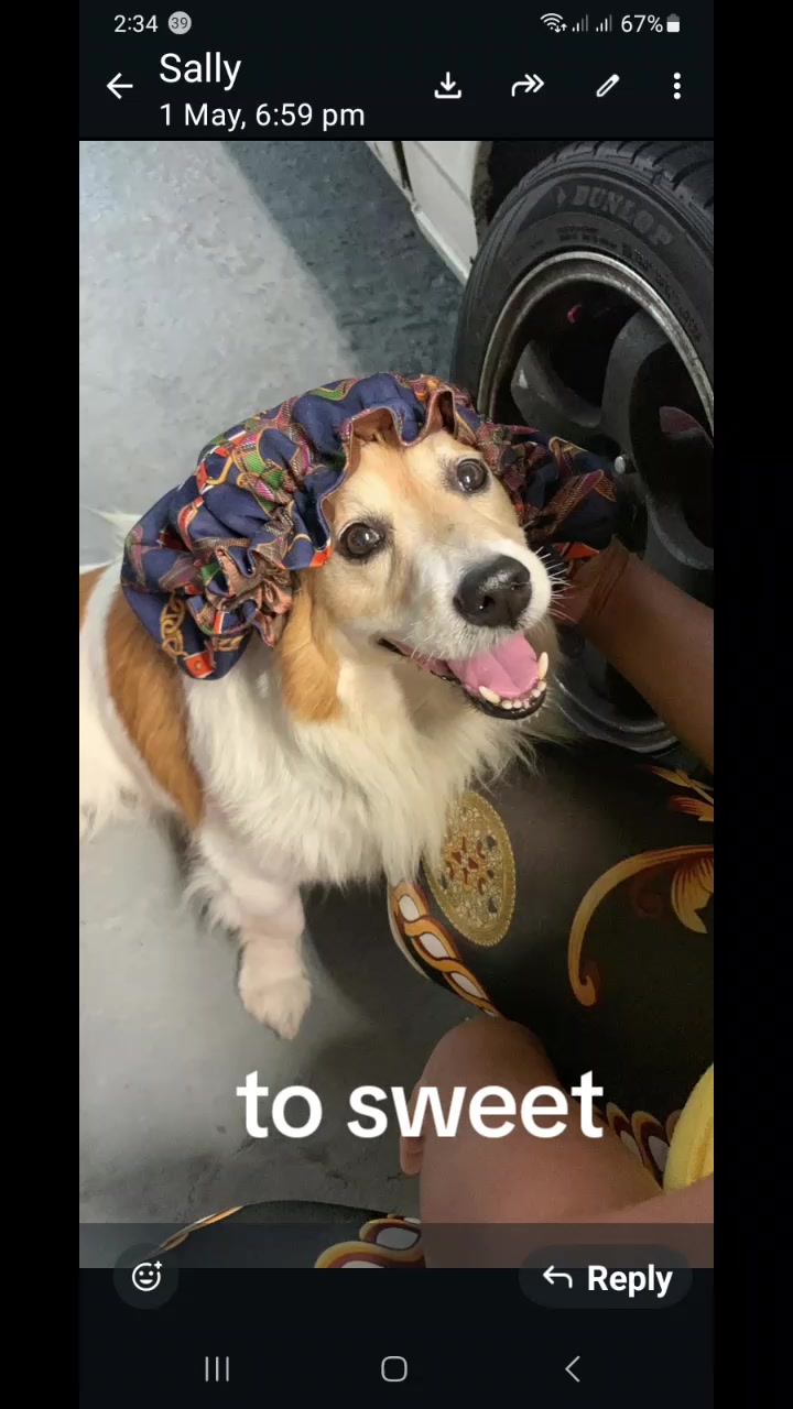 @TC 🏴☠️ Family ❤ 🧡 💚 ghost