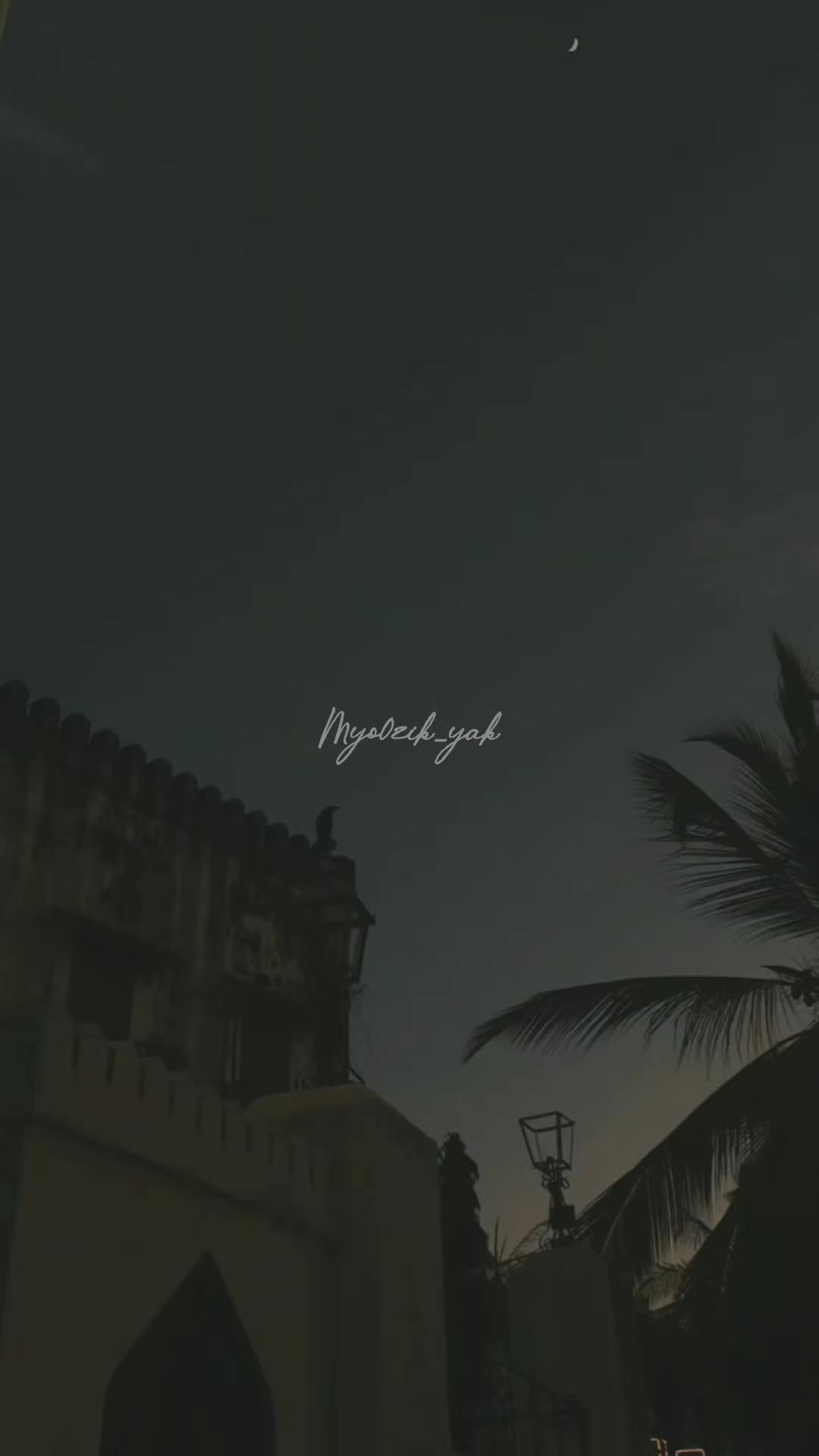 @ꪑꪗꪮ੦ɀỉƙ_ꪗꪖƙ ♪♫♬ 🧬