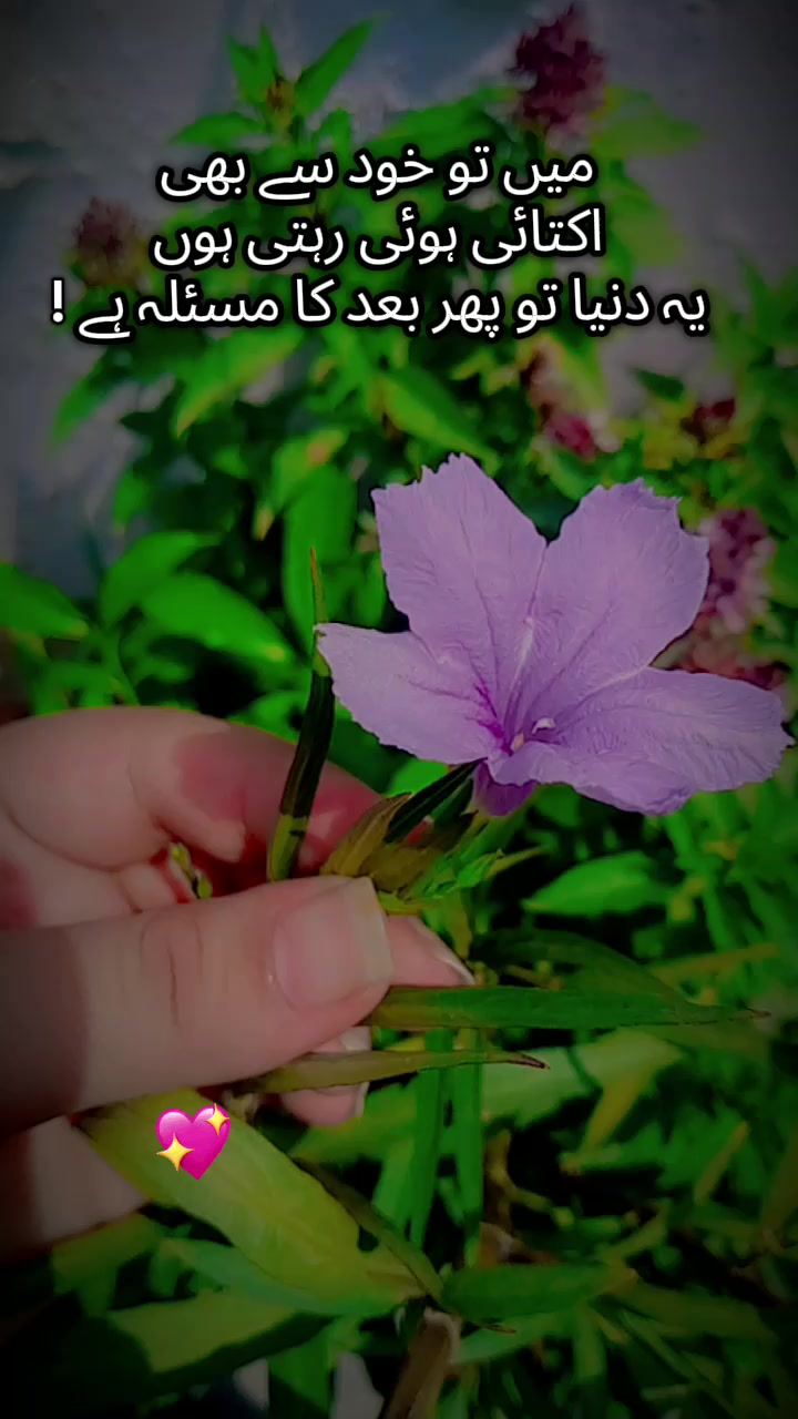 @🌼ѕαяαн 𝑅︎𝑎︎𝑛︎𝑖︎𝑖︎🌼