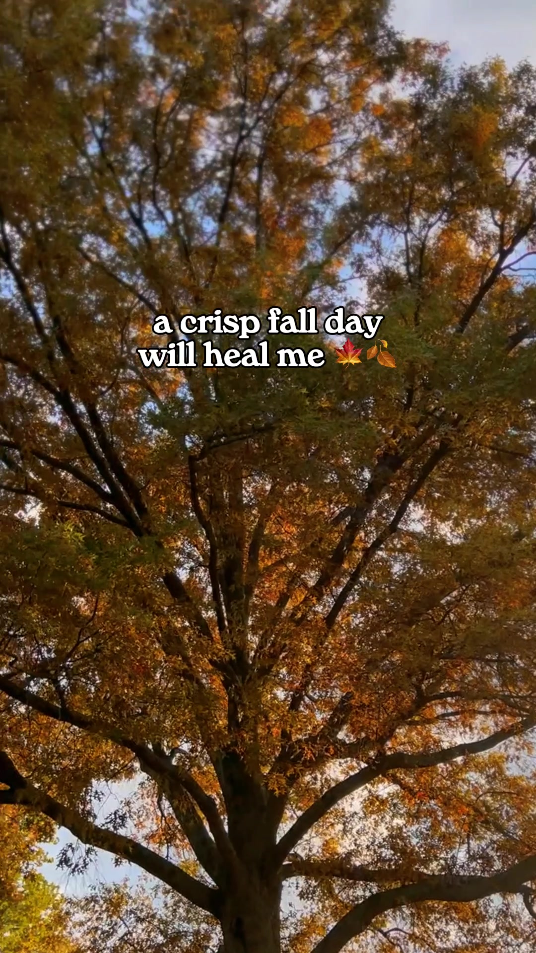 @abitspooky