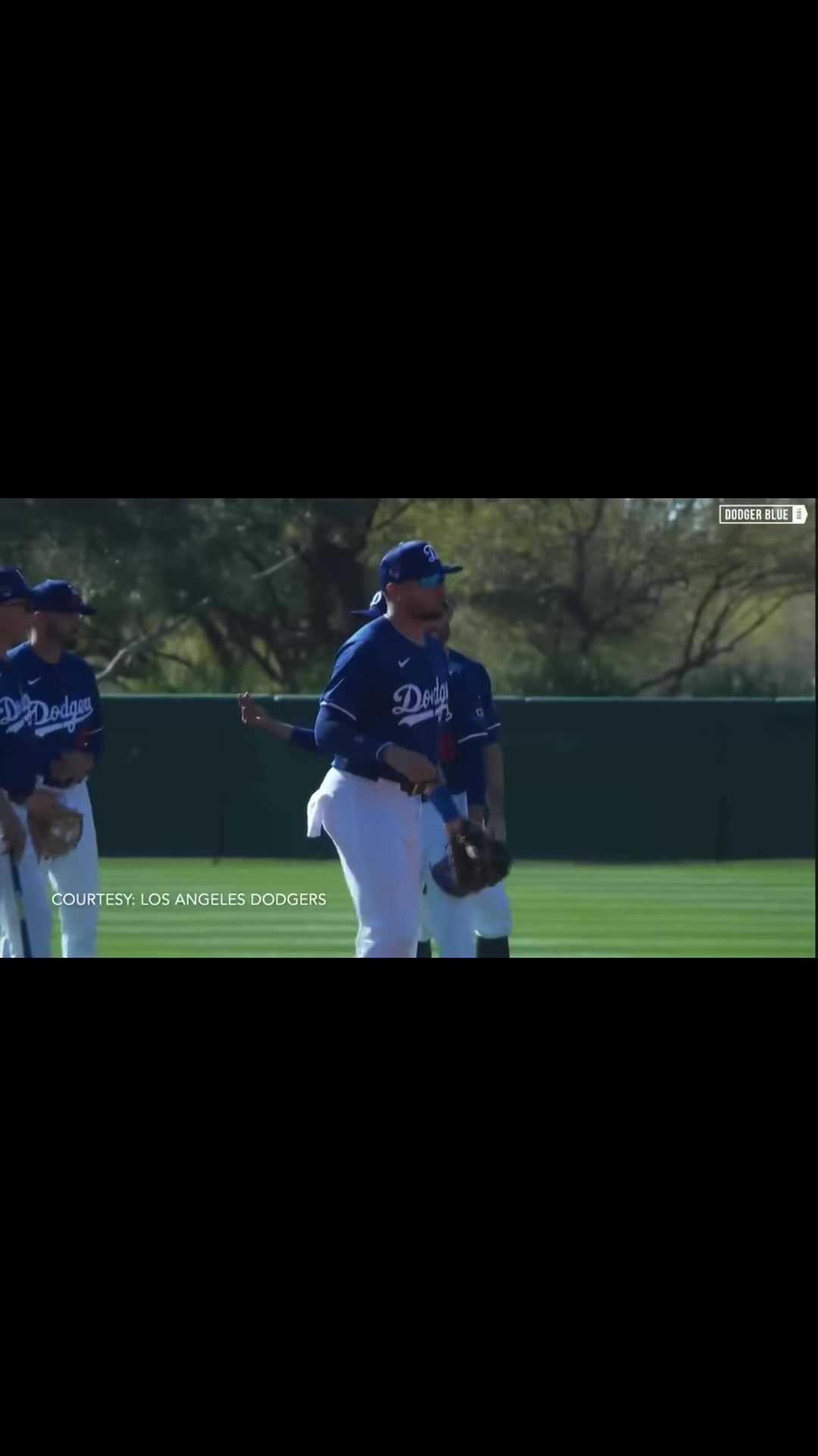 @mlbdeshow