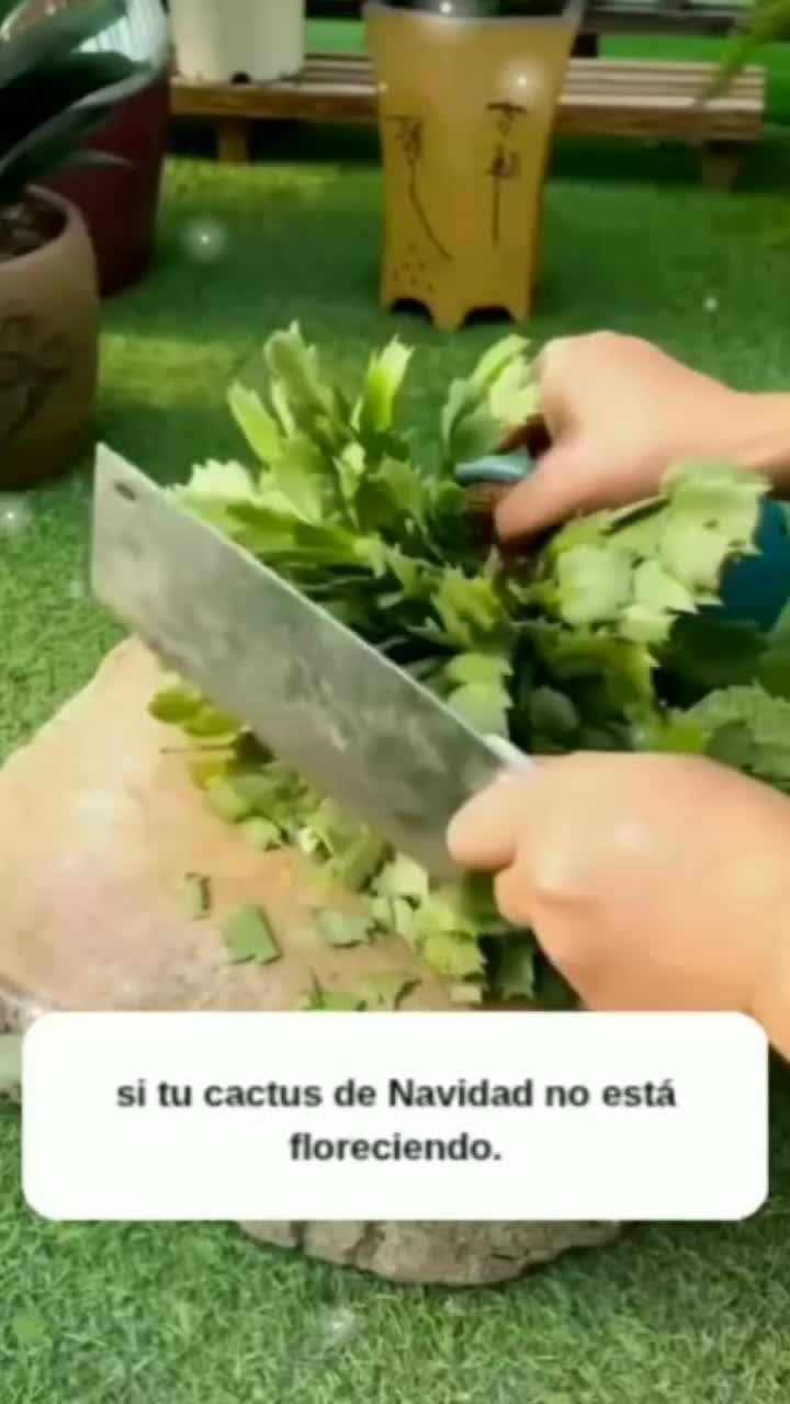 @MIJARDIN