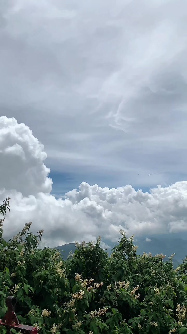 @𝗥𝗮𝘃𝗲𝗲𝘀𝗵𝗮 🦋