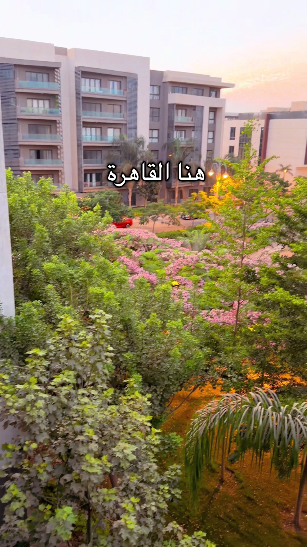 @Rushdi Abu Alouf